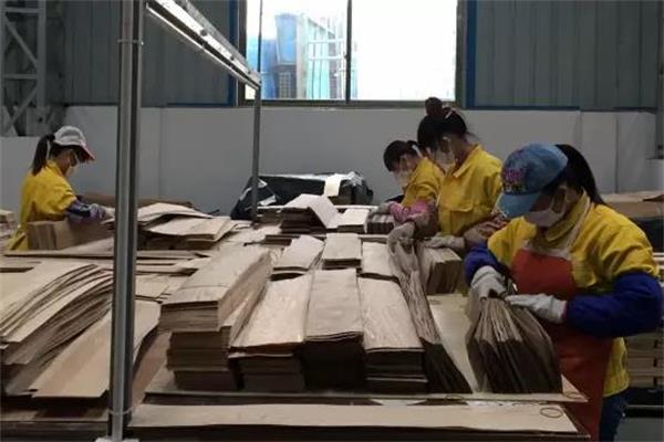 厚邦公司：315=365 天天一丝不苟，活力藏心头.jpg