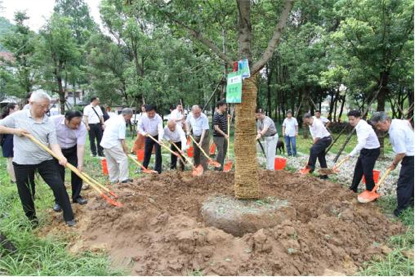 中国实木地板联盟发起“森林宣言”