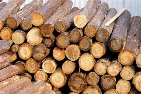 走进第六届世界木材与木制品贸易大会