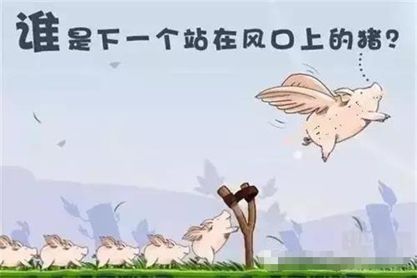 2016创业公司死亡名单 2016创业公司死亡名单