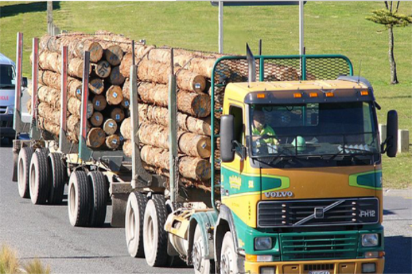 公路运输“限吨令”引发原木价格或将上涨