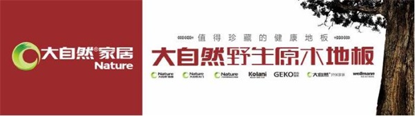 传统建筑一栋房子70%使用木材