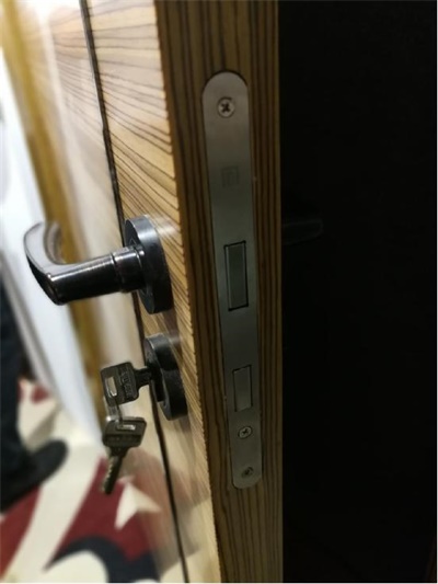 智敬未来，大自然开启大家居智能之门