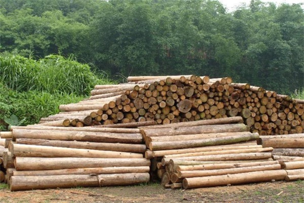 中国家居产业洗牌，木材进口需求量占全球10%