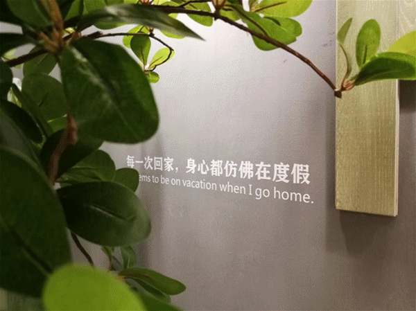 大自然地板23年原木经典系列，此刻光辉重现！