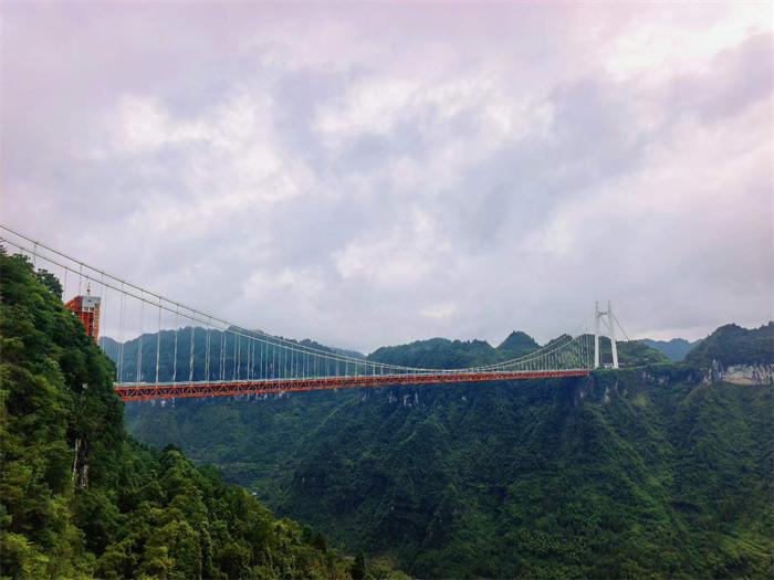 微信图片_2026-08-11_170748_603.jpg